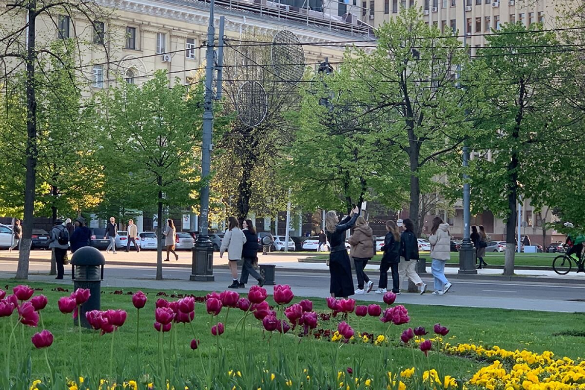    Недосчитались? Сколько человек на самом деле проживает в Краснодаре