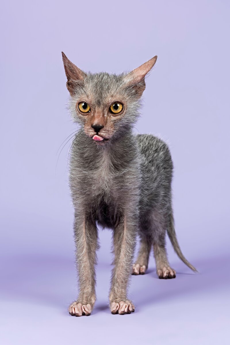   Фото: Legion-Media