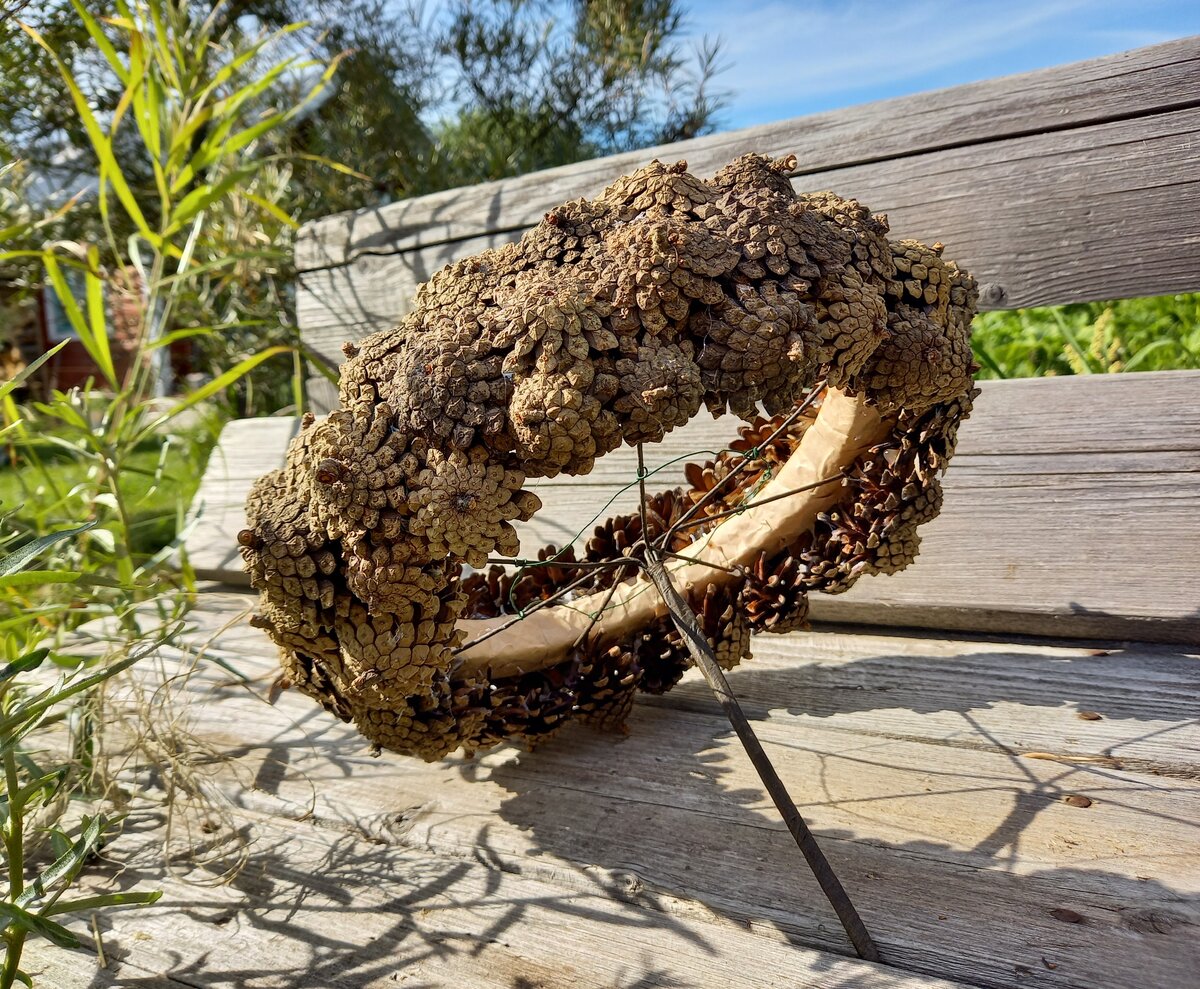 Каркас из сосновых шишек.  Автор Olka_flora