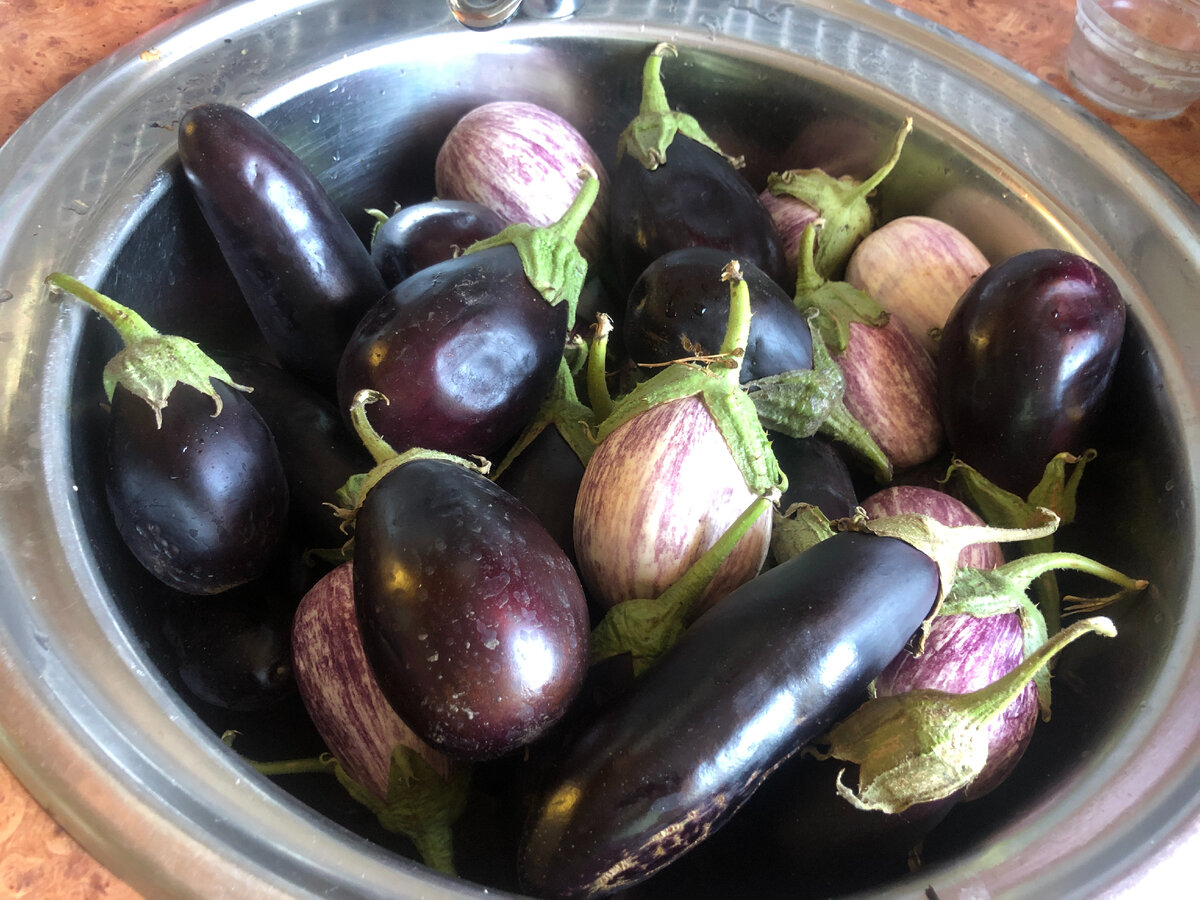 моем баклажаны  ФОТО АВТОРА