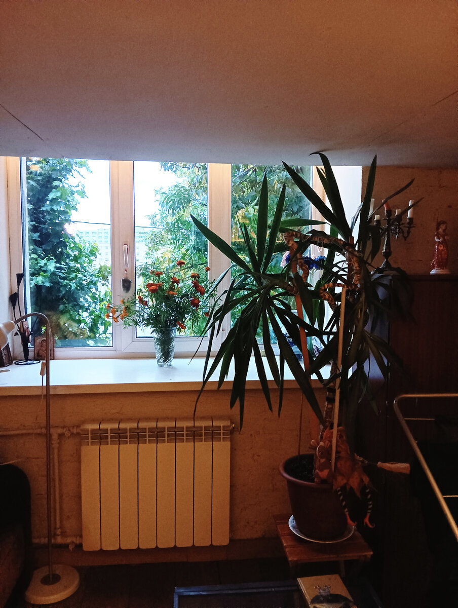 Окно в спальне. 