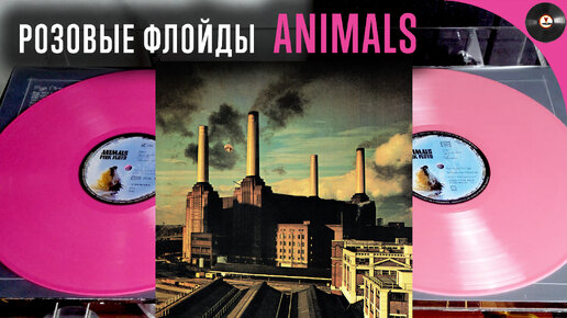 Розовые Флойды, обзор двух изданий Pink Floyd - Animals