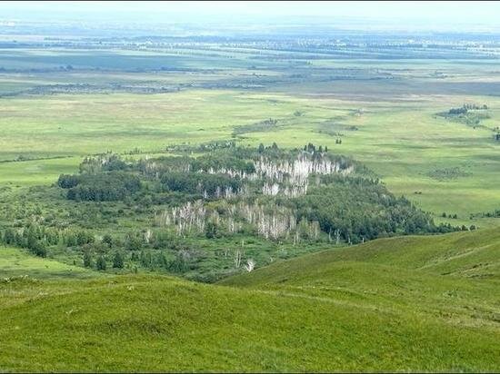    Фото: минприроды Алтайского края