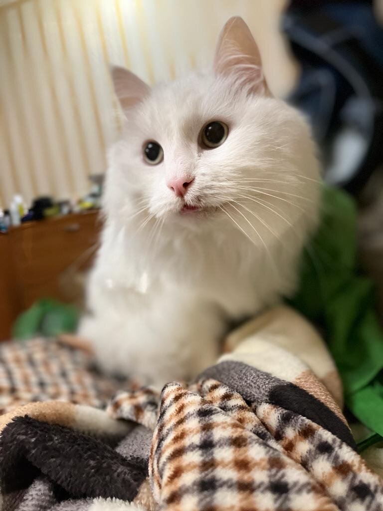 2️⃣ Смотрю какой-нибудь сериал. Чуть ли не все серии подряд. Знаете, как классно? Если не знаете, рекомендую📺