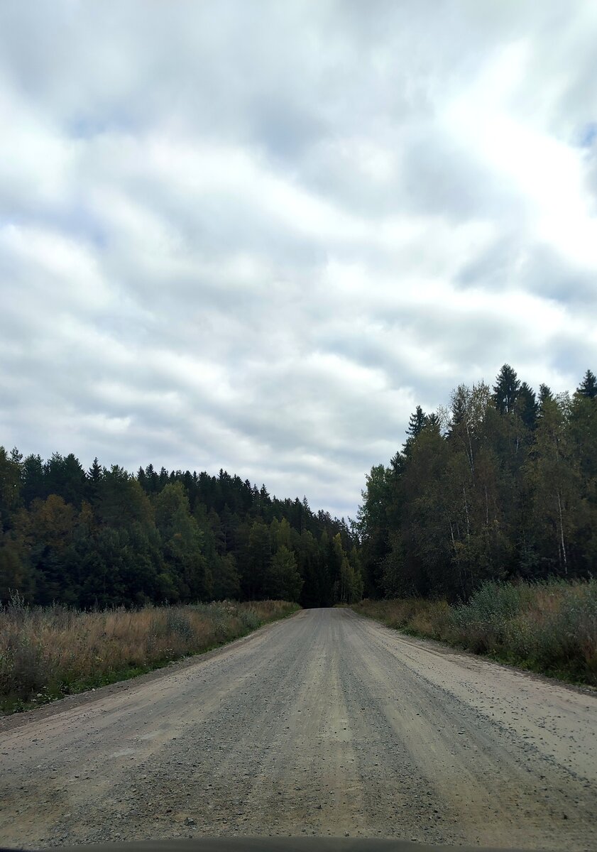 В Карелию на авто из Санкт-Петербурга. Кирха в Лумивааре и скальный массив  в поселке Сорола | Солнце светит всем | Дзен