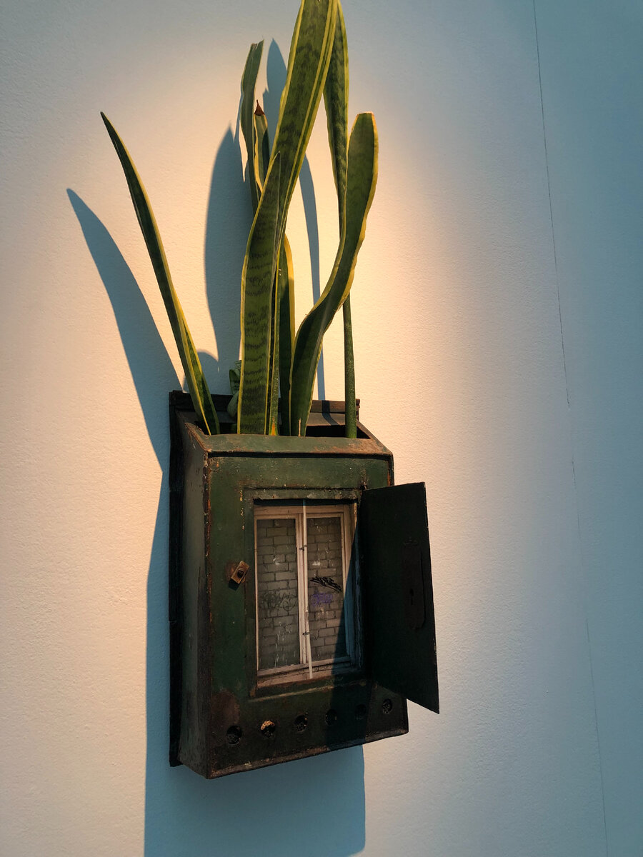 Андрей Сяйлев