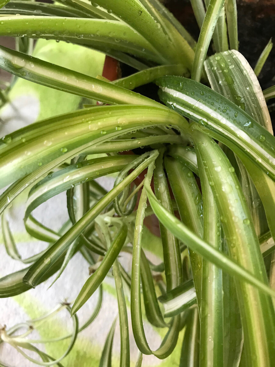 Все фото Автора канала.