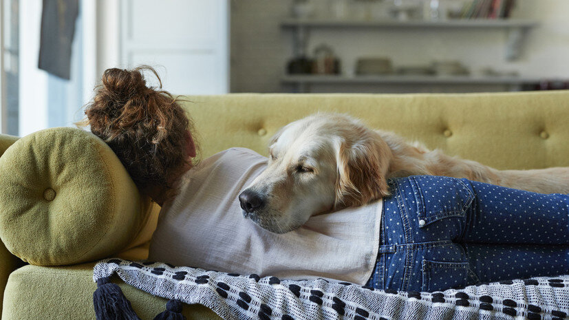   Gettyimages.ru Klaus Vedfelt