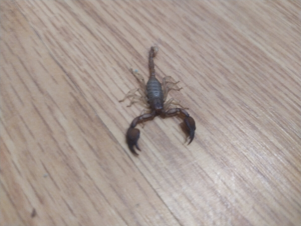 Фото из нашего коридора