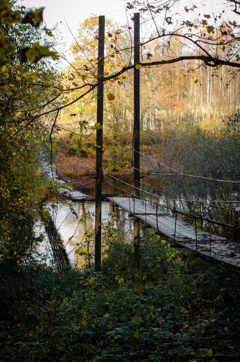 Подвесной мост в усадьбе Тенишевой. Хотылево. Брянская область 