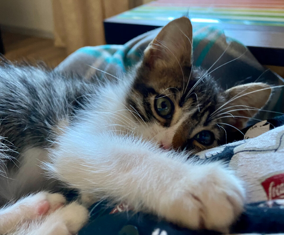 Маленькие обнимашки