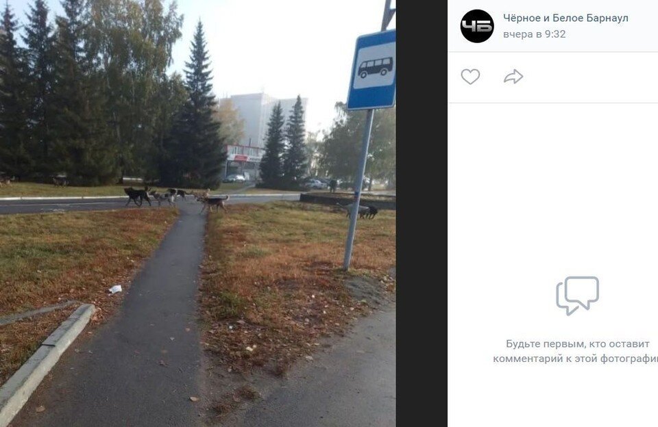     Фото: скриншот с паблика "Черное и белое Барнаул"