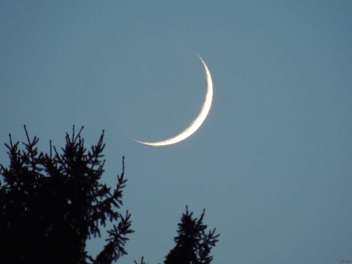 Девушка-Луна