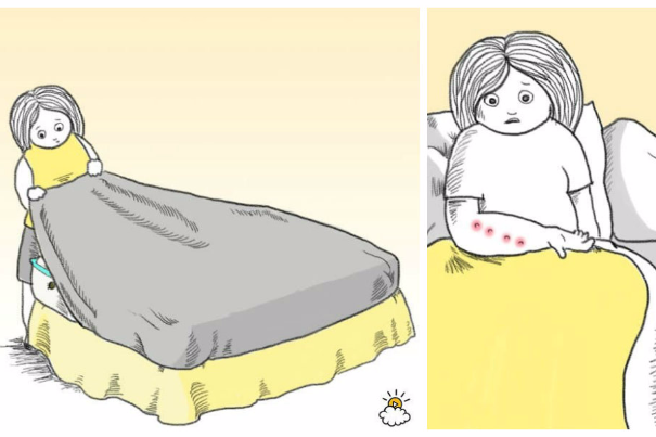     8 шагов для тех, кто обнаружил в доме клопов