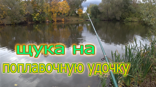 Щука на поплавочную удочку! Рыбалка на живца осенью!