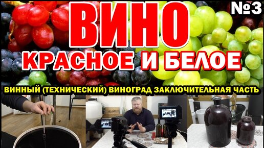 КРАСНОЕ и БЕЛОЕ ВИНО В ДОМАШНИХ УСЛОВИЯХ / Технический виноград / Заключительная часть №3