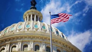    Фото: prufy.ru Анна Норкина