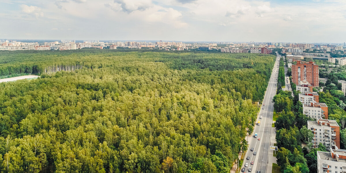 Парк Сосновка в 5 минутах ходьбы от ЖК «Листва».