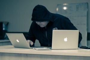    фото: unsplash.com Вера Беляева