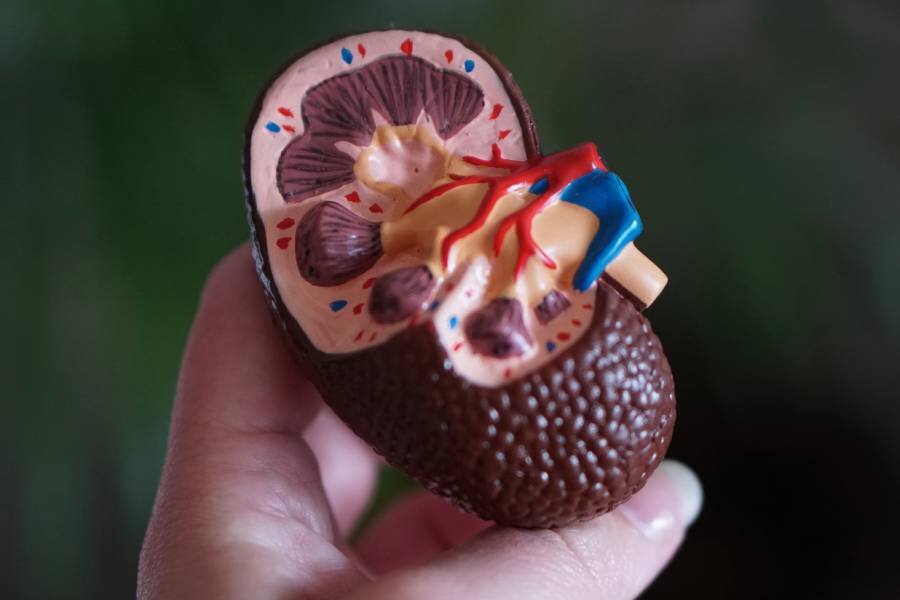 Фото: Robina Weermeijer / Unsplash.com 