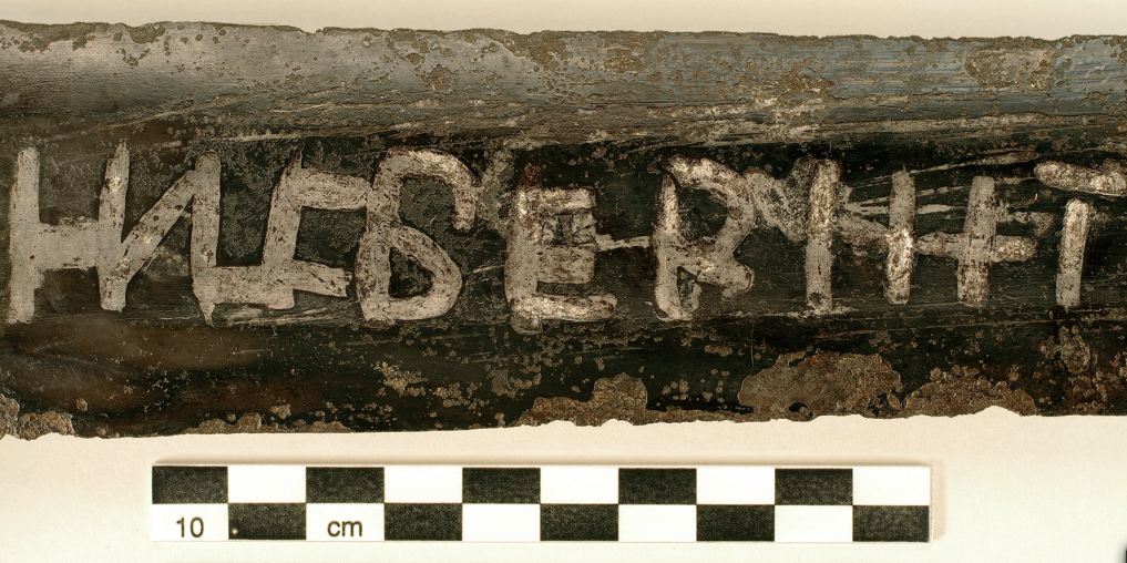 по Петри 2017