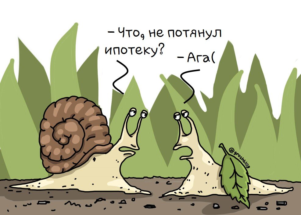 Источник - @groshblog.