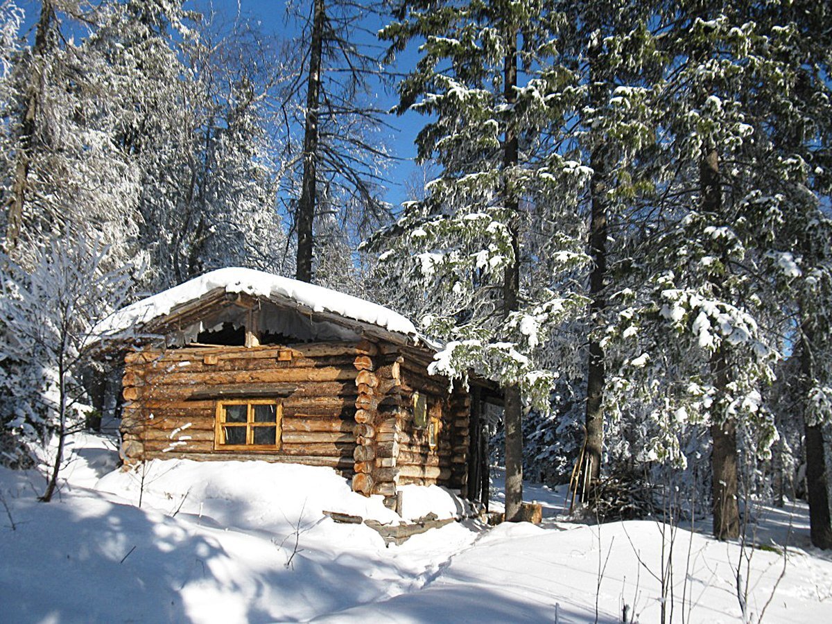 фото из интернета