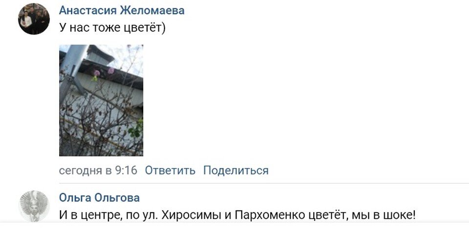     В популярных сообществах вКонтакте обсуждают аномалии. Скриншот