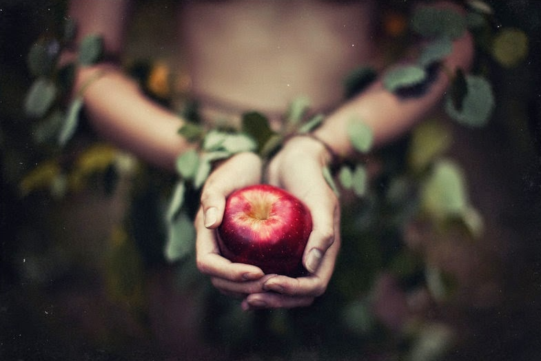 С яблони сорвать яблоко. Яблоко в руке.