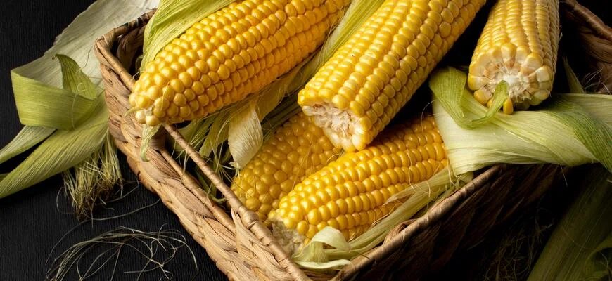 В Россию попала заражённая кукуруза freepik.com