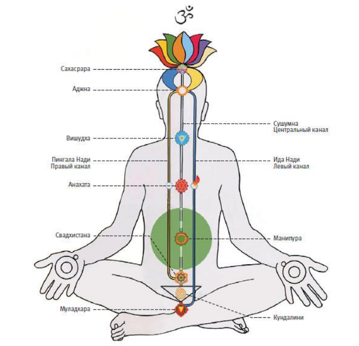 Что такое энергия кундалини. Энергетические каналы. Энергетические каналы человека просто и понятно. Центральный энергетический канал человека. Энергия Кундалини.