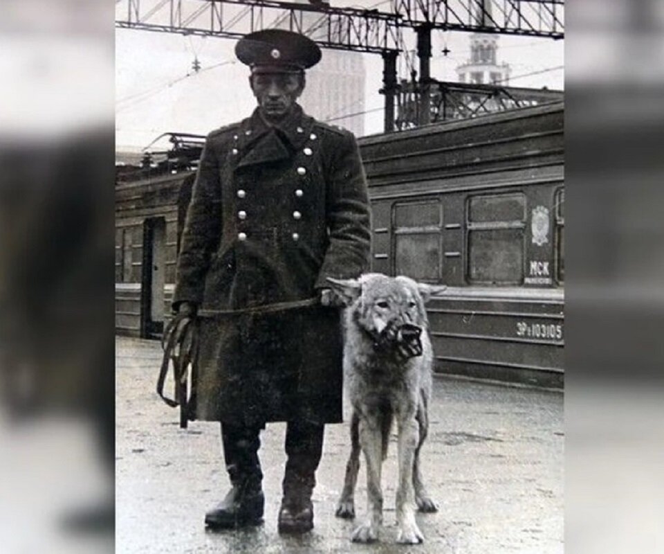 Алексей Игнатьевич и его необычная сослуживица