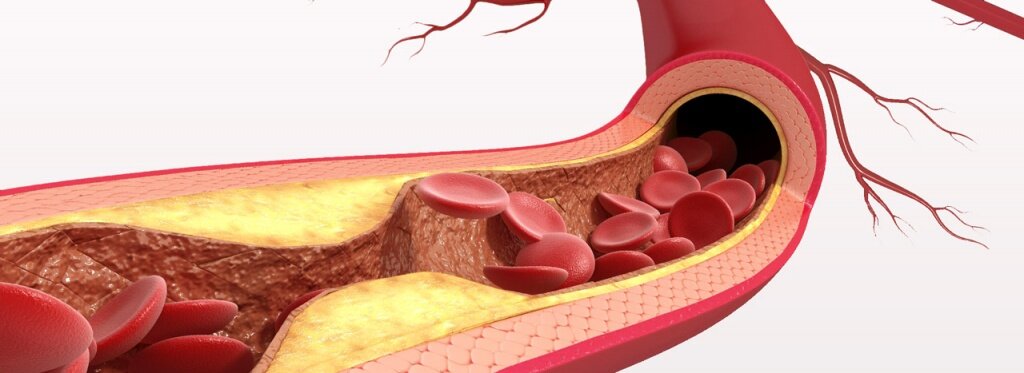 фото Яндекс