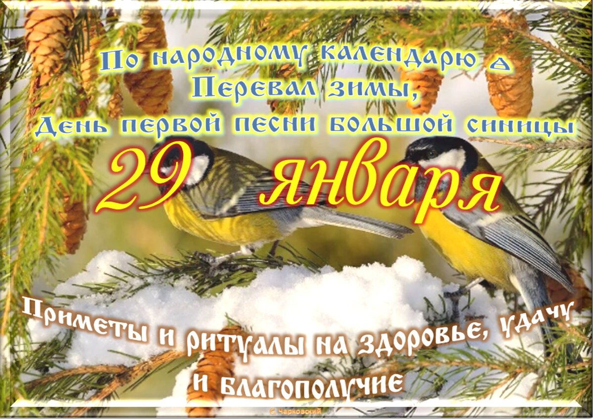 День Петра. Что можно и чего нельзя делать 29 января года | Аргументы и Факты