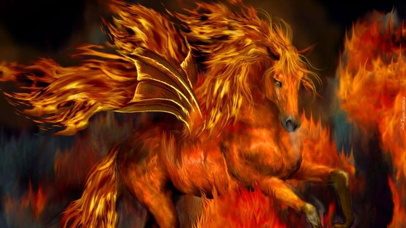 Огнегривый Конь считается противоречивым животным. 