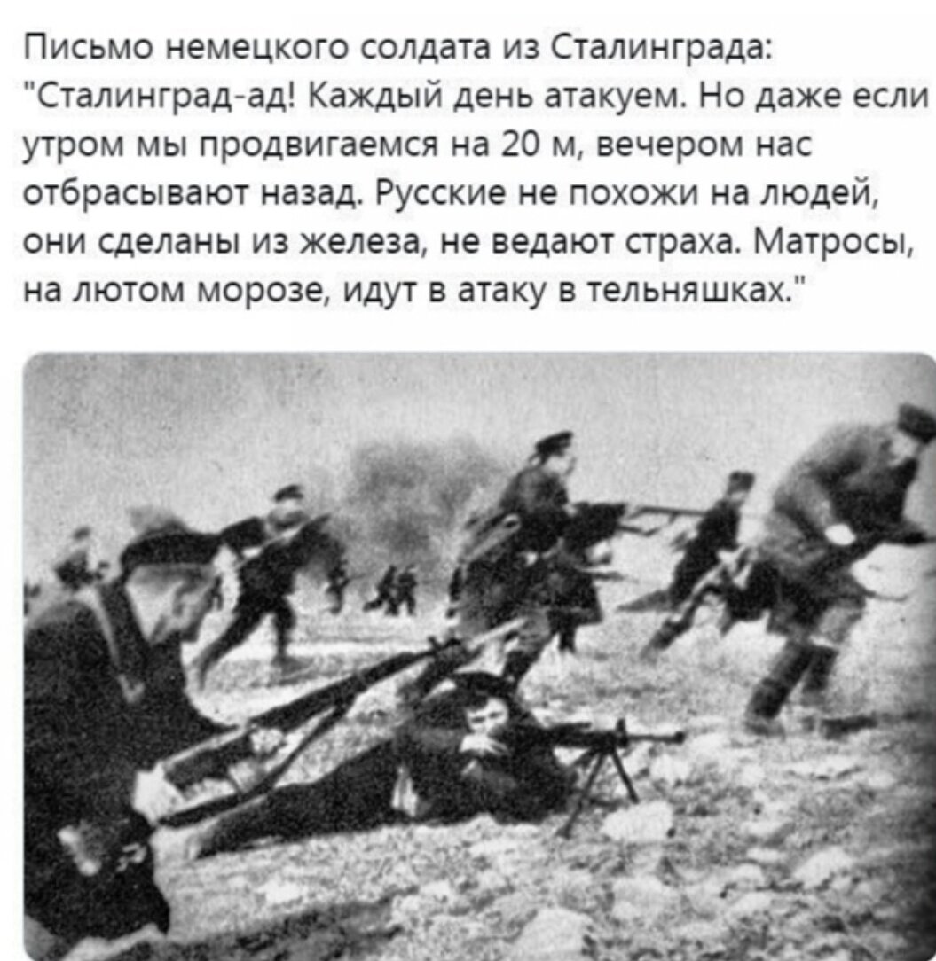 бои за белый раст 1941 фото 53