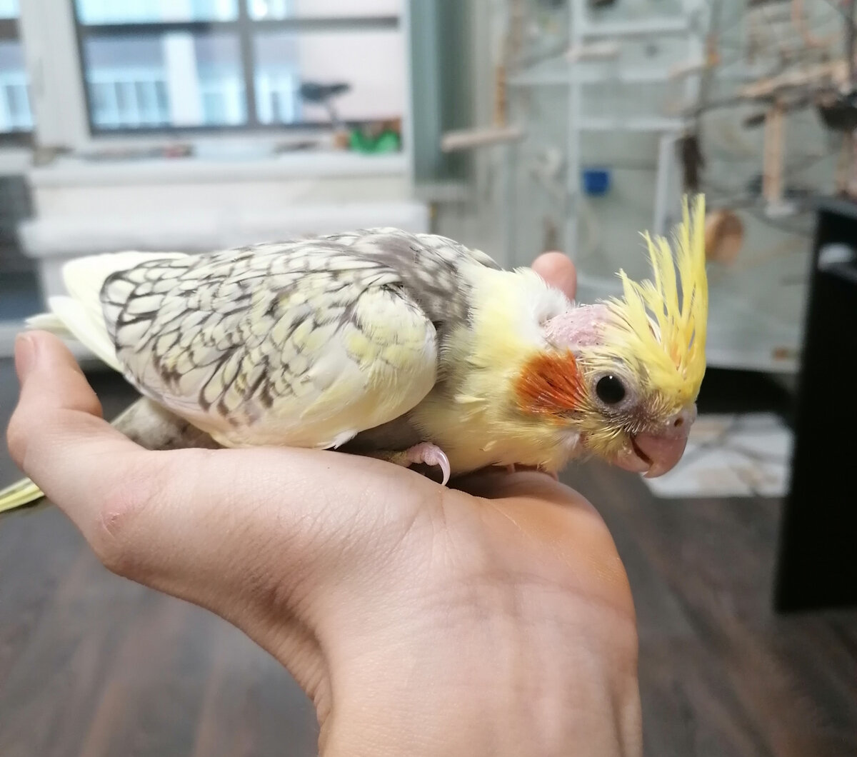 Все фото автора.