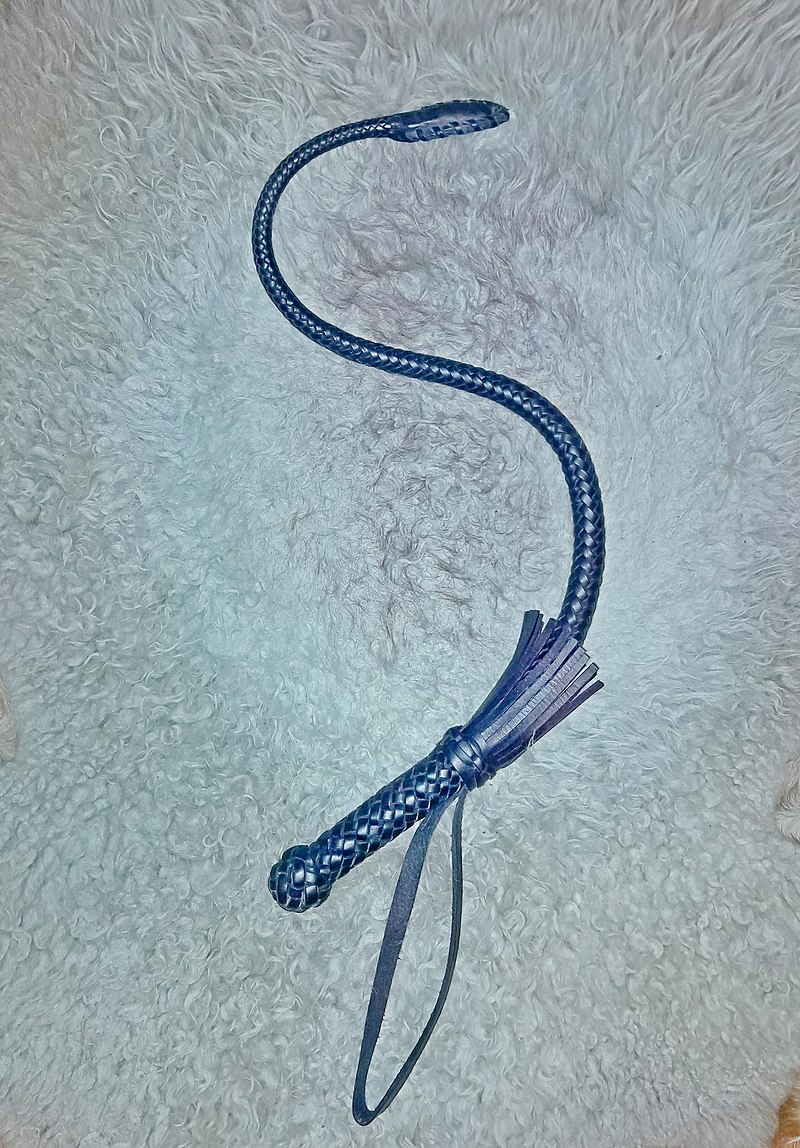 Кубанская нагайка автора статьи