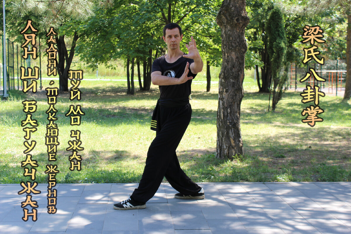 Лян ши багуачжан. Туй мо чжан