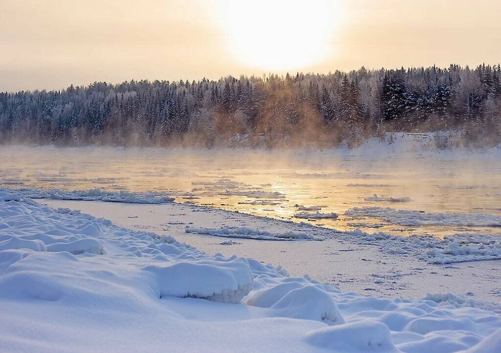 Фото отсюда:  https://www.pechora-reserve.ru/fotografii    Автор Остривная Екатерина.