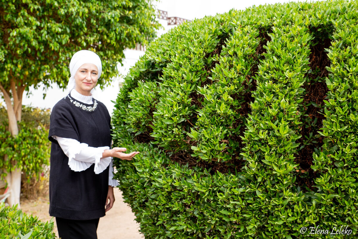 Как пишется Аллах по-арабски. arablegko.ru