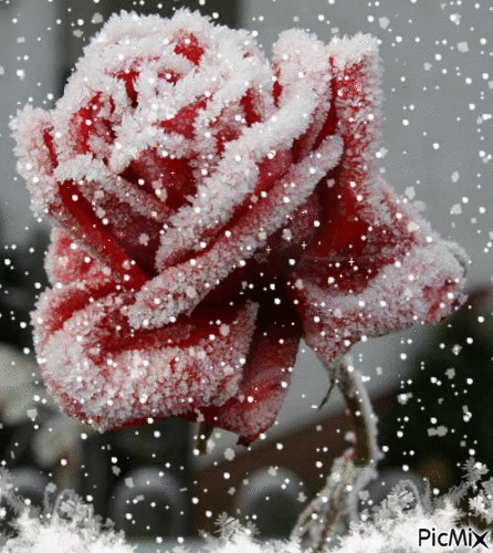 Дополнение от Артура