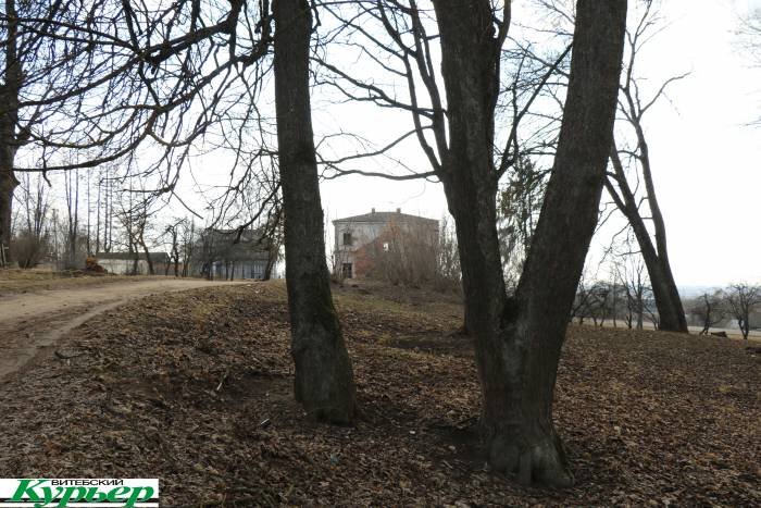 2019 год. Парк и усадьба в деревне Высокое Оршанского района. Фото: Сергей Мартинович