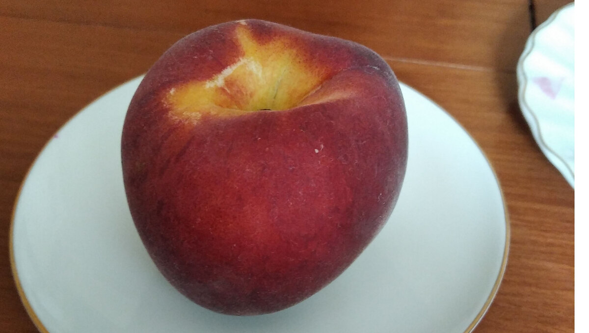 Персик для рисования с натуры