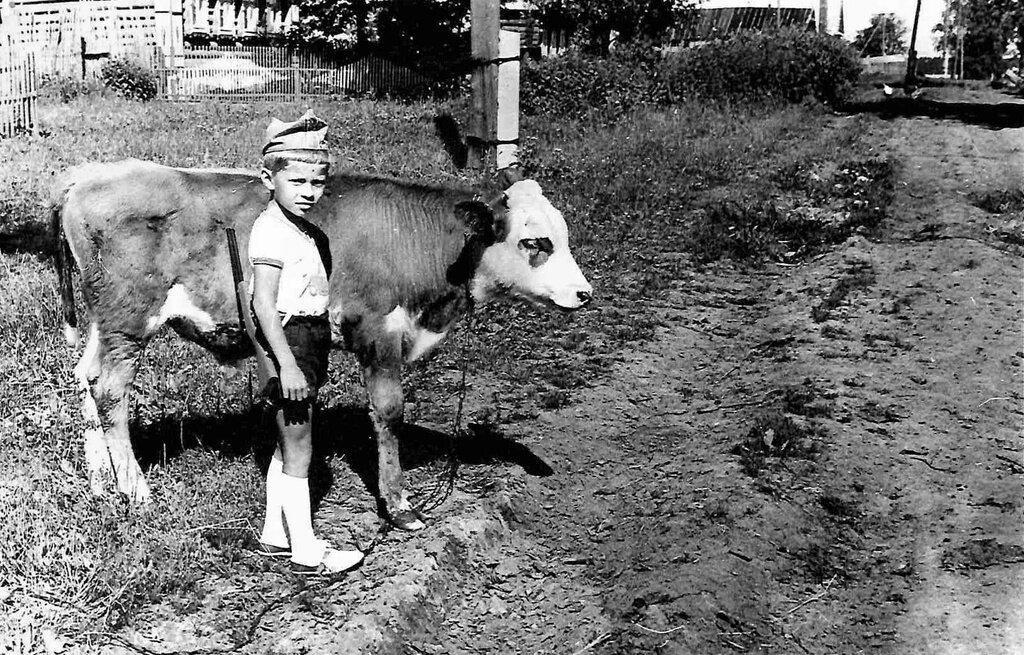 Маленький пастух. Неизвестный автор, 1976 - 1978 год, Калининская обл., дер. Берниково, из архива Дениса Тюленева.