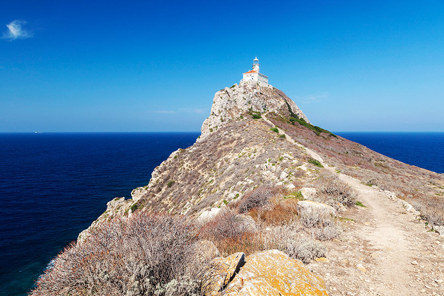 Фото: Shutterstock