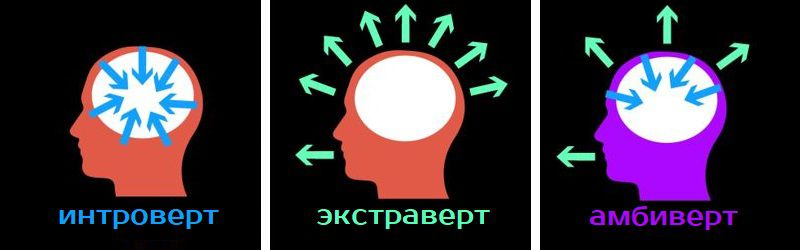 Что такое интроверт амбиверт. Интроверты и экстраверты и амбиверты. экстравертный интроверт. интроверт и амбиверт. амбиверт тип личности.