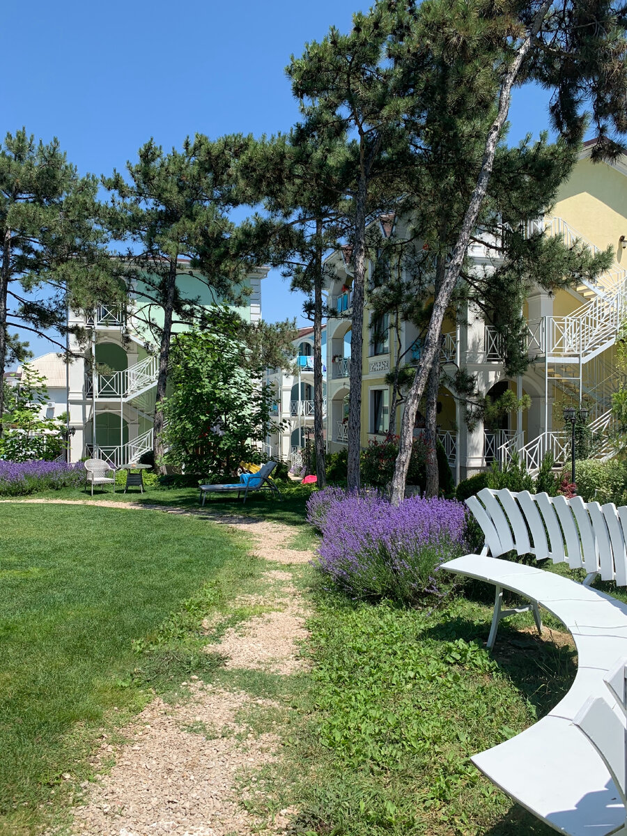 Сад Розмарин 