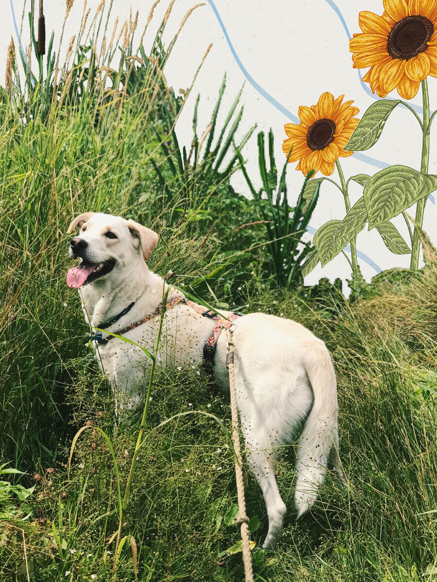 Изображения для иллюстрации взяты из сети Интернет