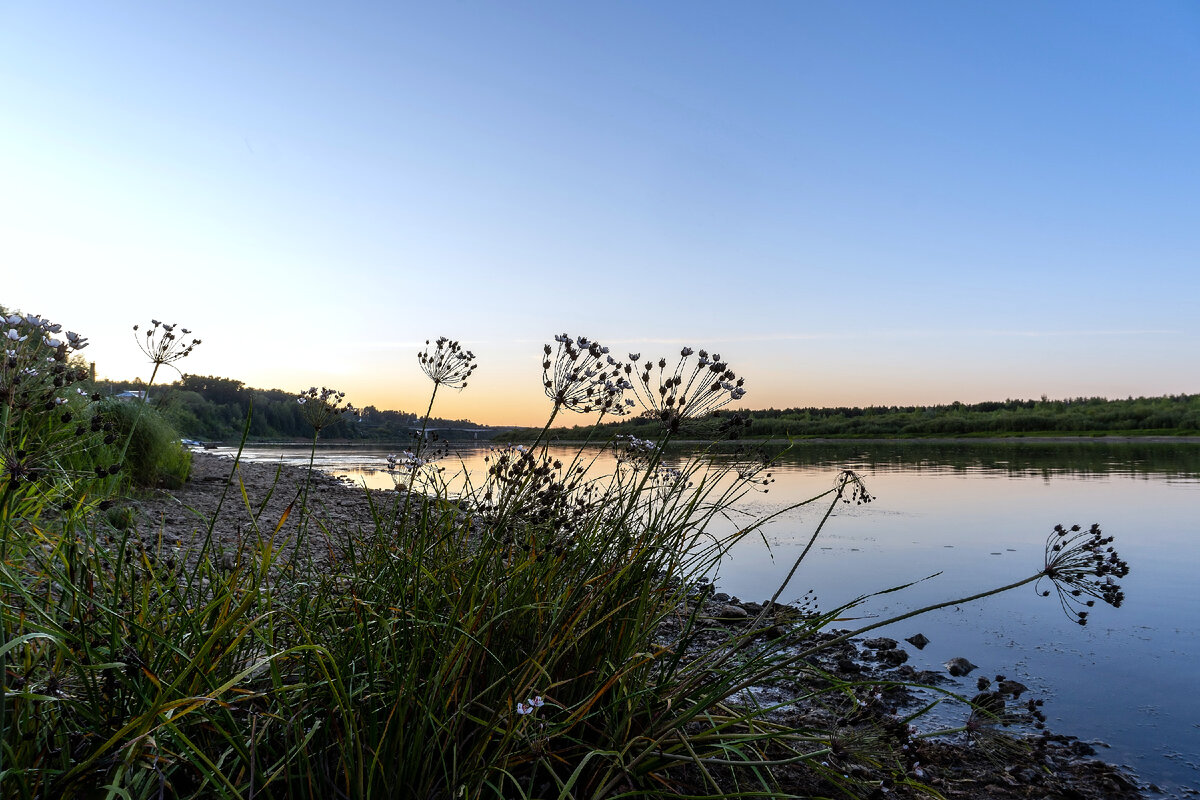 Наша Вятка. 5 августа 2021 года.